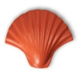 Hook Shell Terracotta